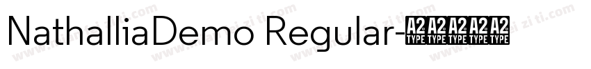 NathalliaDemo Regular字体转换